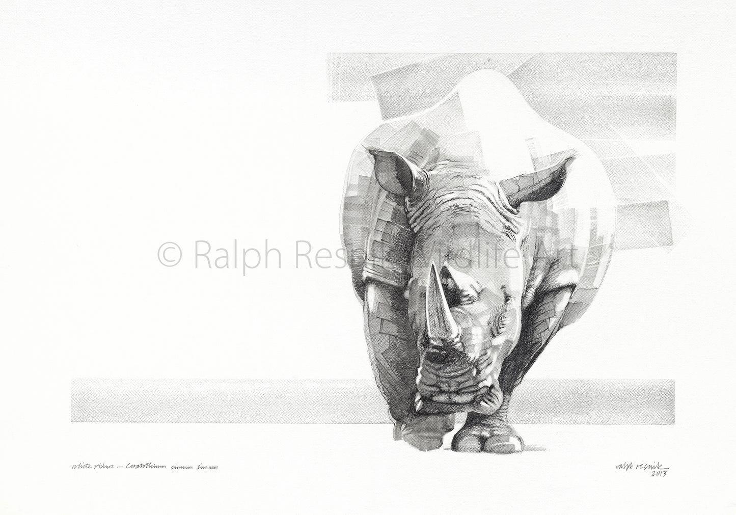 Rhino