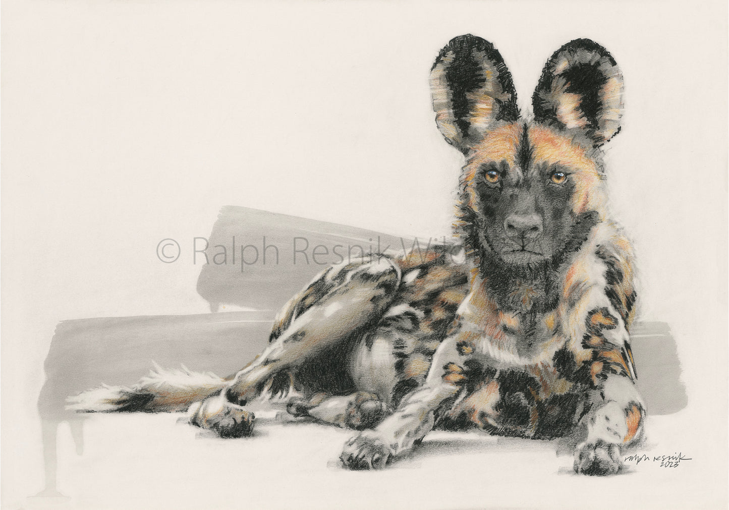 Restful Painted Dog